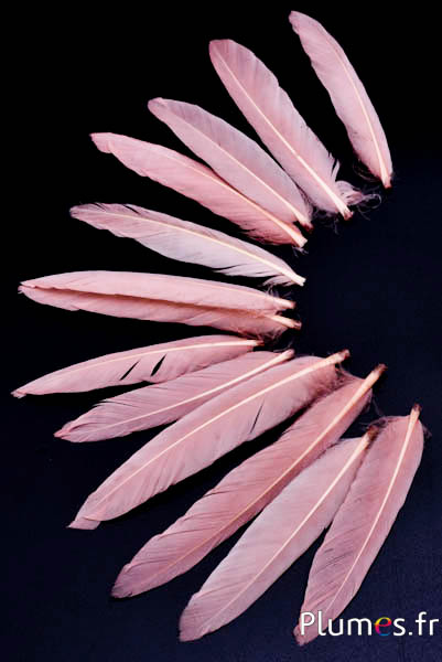 Gans blad - 9-11 cm - creme roze